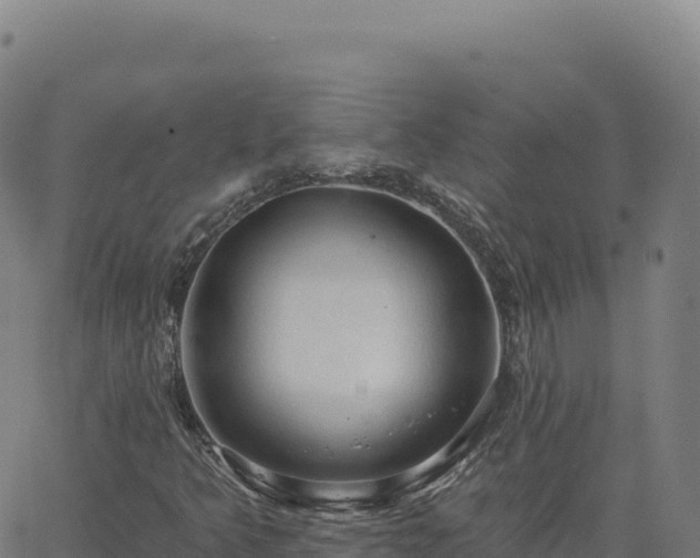 X0000063481349200601271644