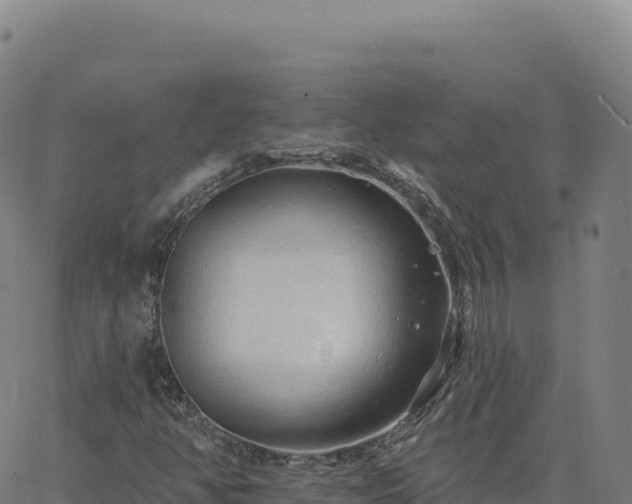 X0000063481350200601271644