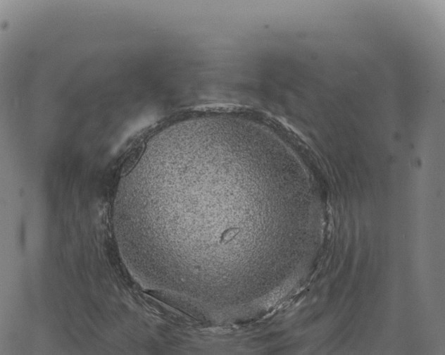 X0000063481351200601271644