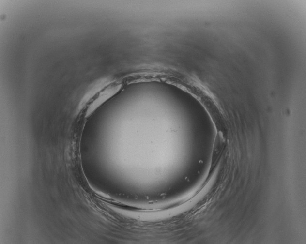 X0000063481352200601271644