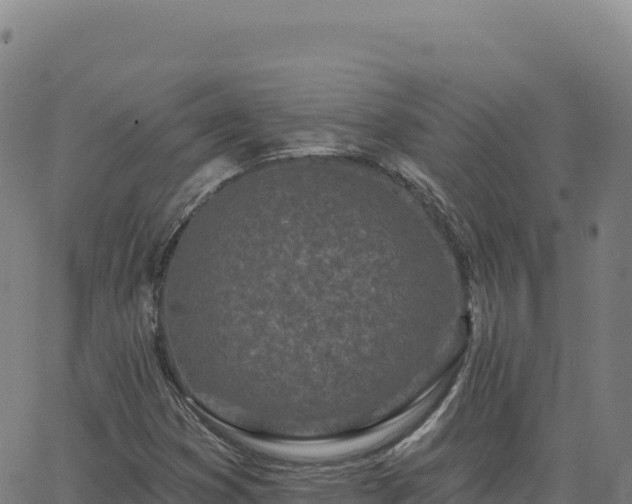 X0000063481353200601271644