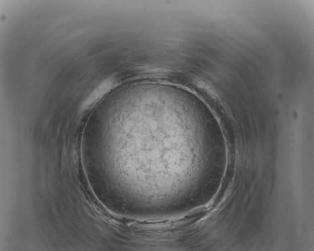 X0000063481354200601271644