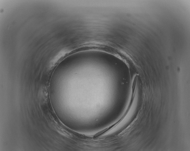 X0000063481355200601271644