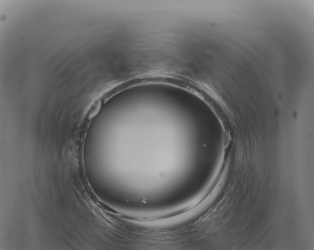 X0000063481356200601271644