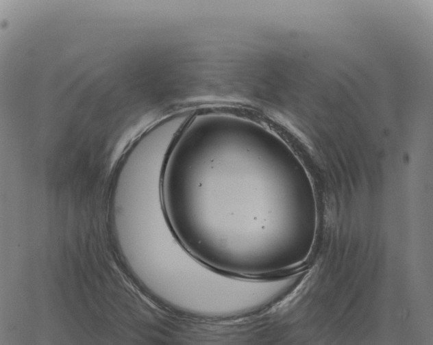 X0000063481357200601271644