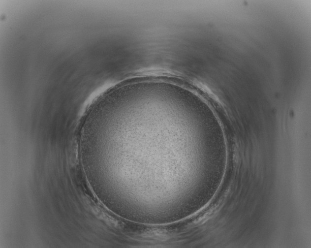 X0000063481358200601271644