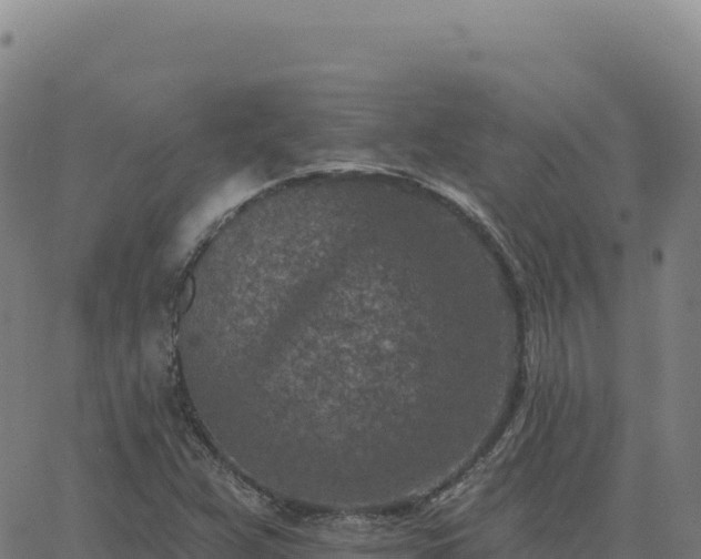 X0000063481359200601271644