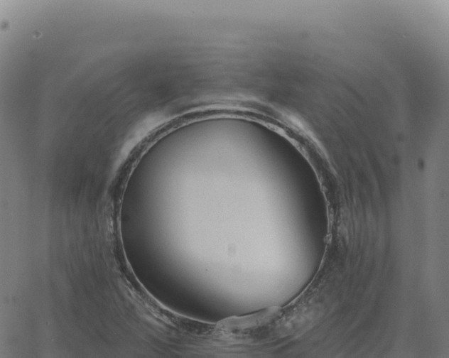 X0000063481360200601271644