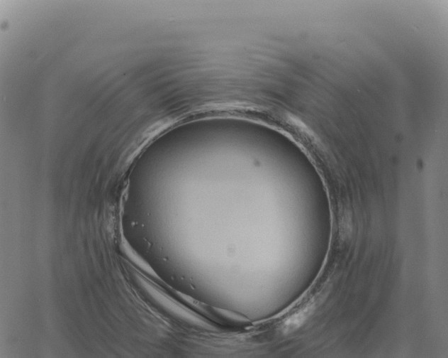 X0000063481361200601271644