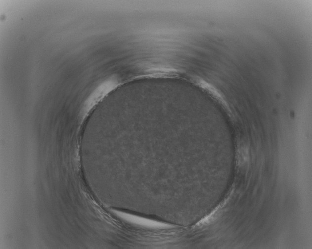 X0000063481362200601271644