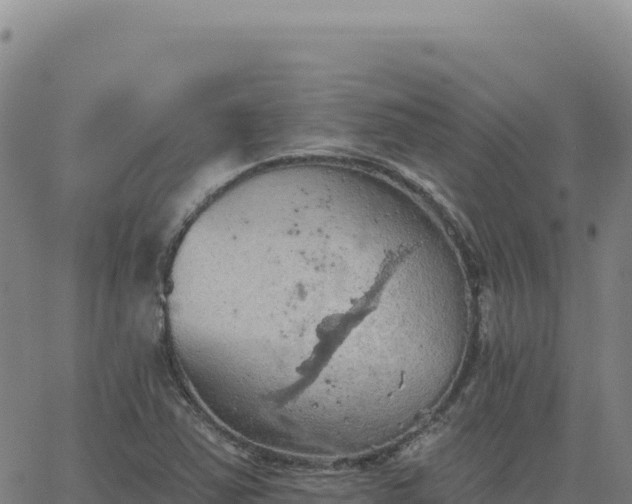 X0000063481363200601271644