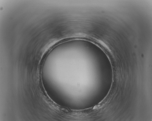 X0000063481364200601271644