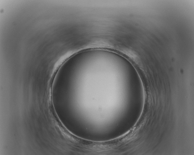 X0000063481366200601271644