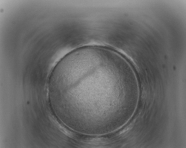 X0000063481367200601271644