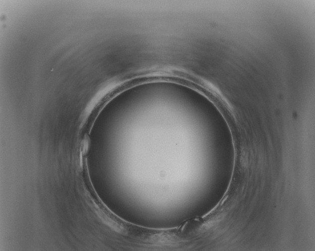 X0000063481368200601271644