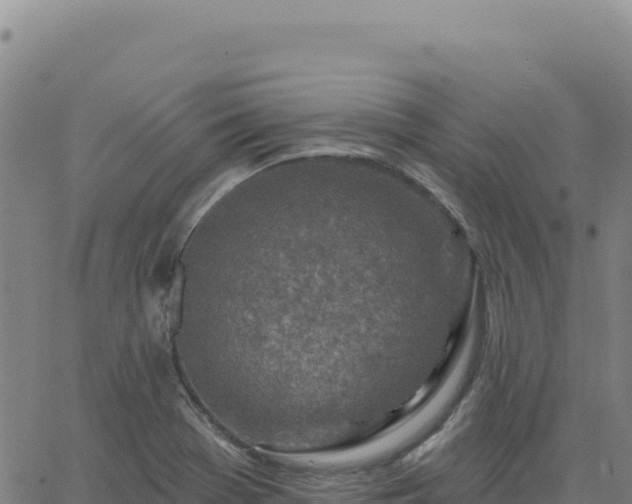 X0000063481369200601271644