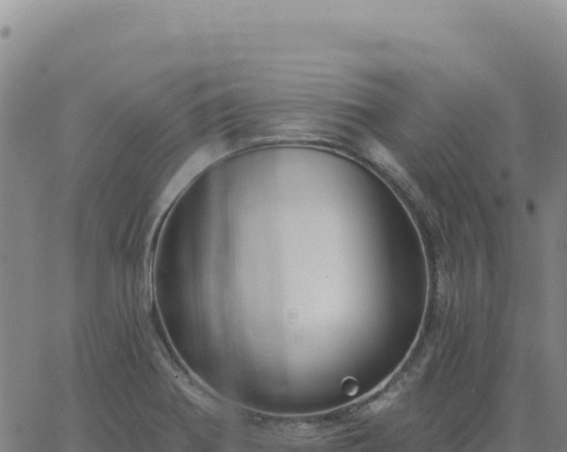 X0000063481370200601271644