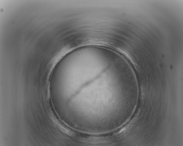 X0000063481371200601271644