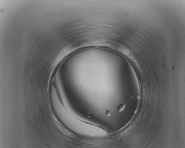 X0000063481372200601271644