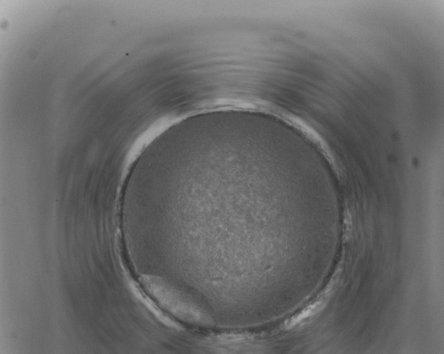 X0000063481373200601271644