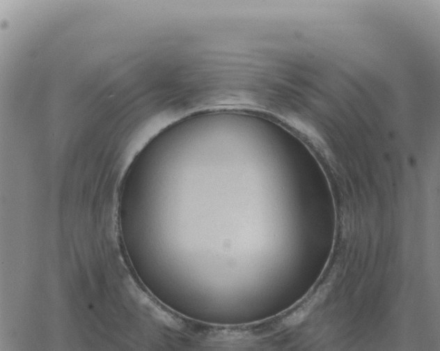 X0000063481374200601271644