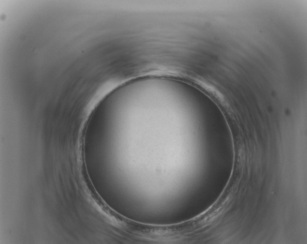 X0000063481375200601271644