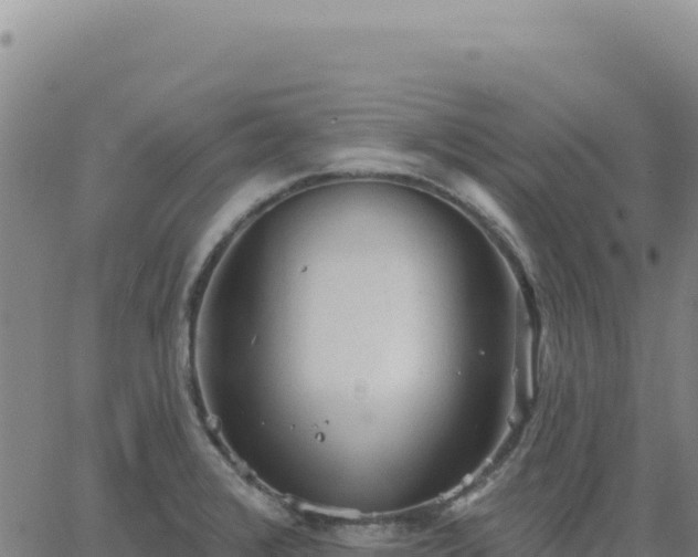 X0000063481376200601271644