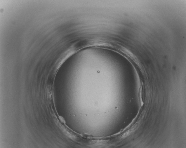 X0000063481377200601271644