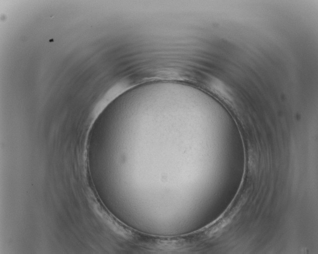 X0000063481378200601271644