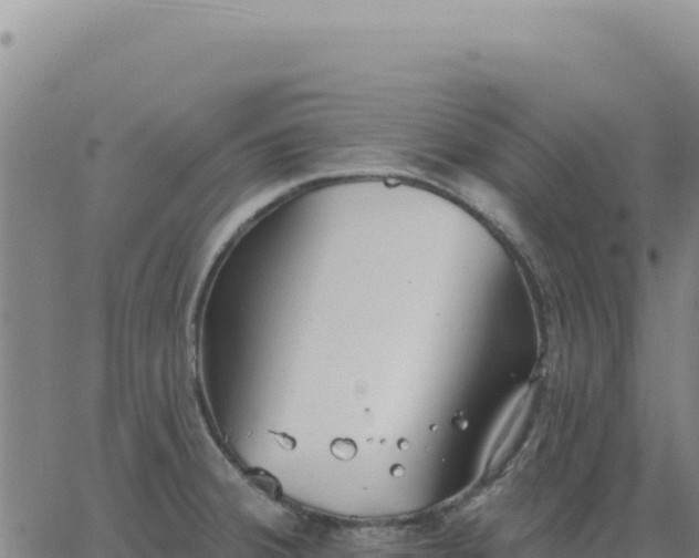 X0000063481380200601271644