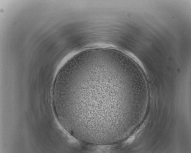 X0000063481381200601271644