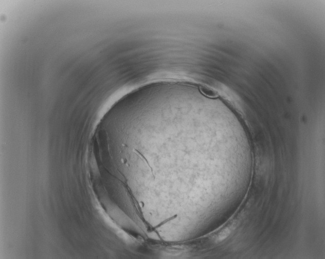 X0000063481382200601271644