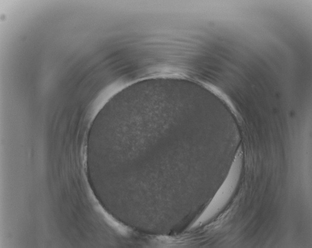 X0000063481383200601271644