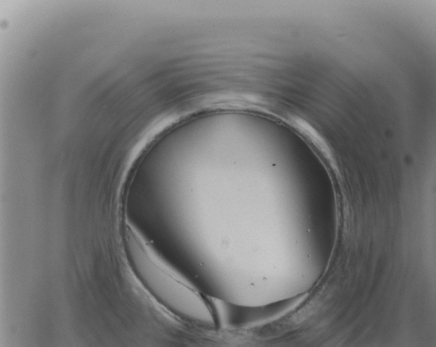 X0000063481384200601271644