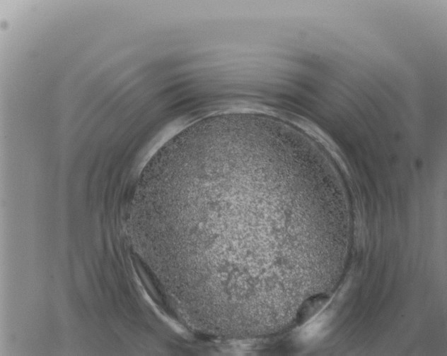 X0000063481385200601271644