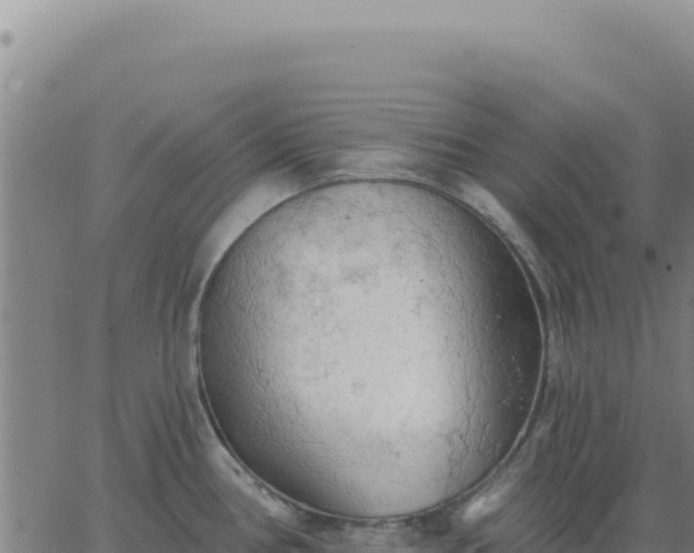 X0000063481386200601271644