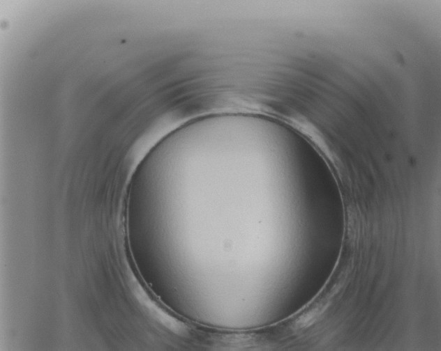 X0000063481387200601271644