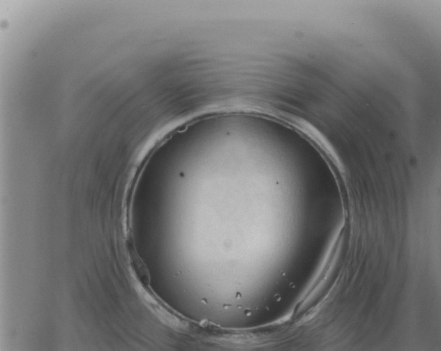 X0000063481388200601271644