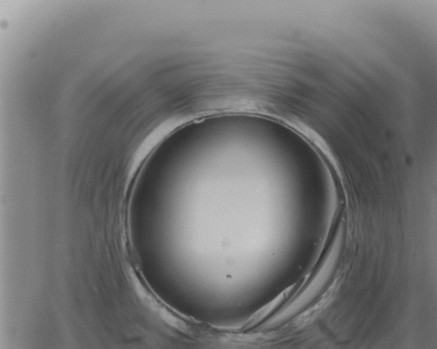 X0000063481389200601271644