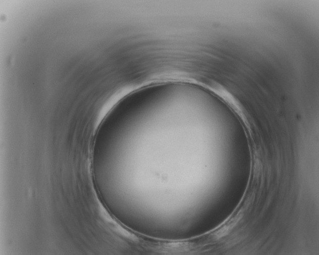 X0000063481390200601271644