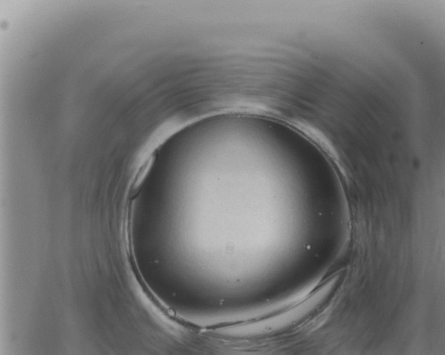 X0000063481391200601271644