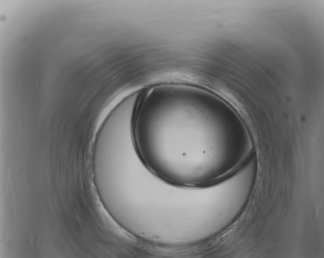 X0000063481392200601271644