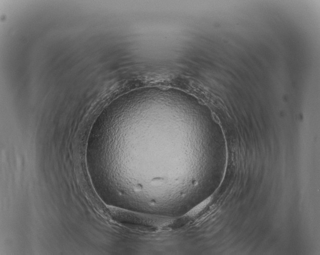 X0000063481393200601271643