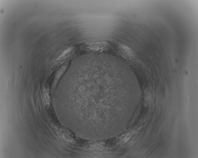 X0000063481394200601271643