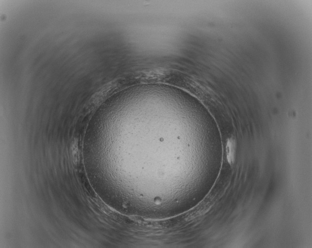 X0000063481395200601271643