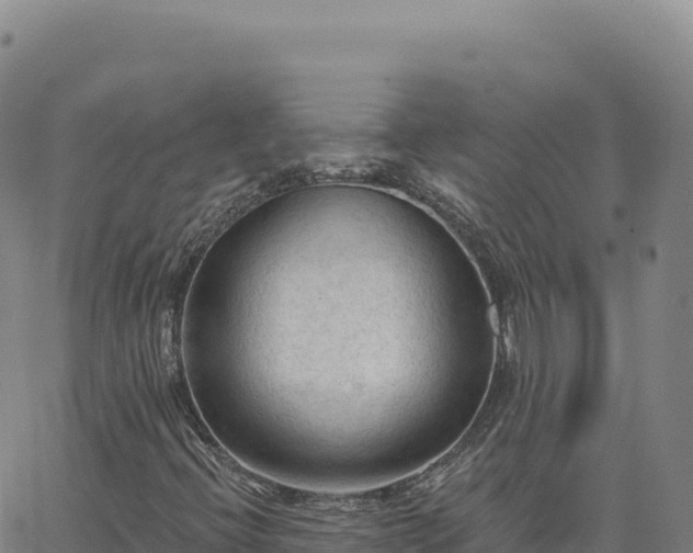 X0000063481396200601271643