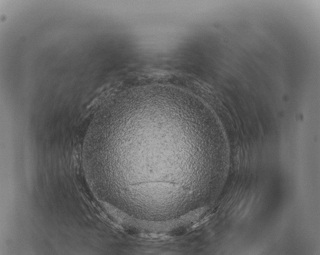 X0000063481397200601271643