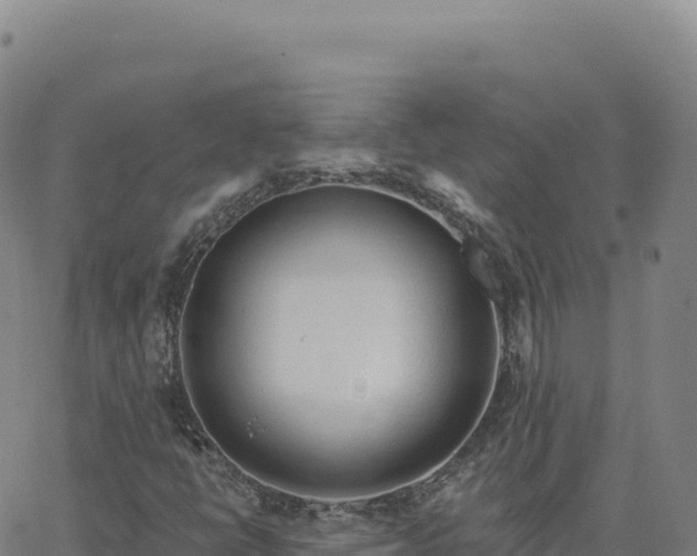 X0000063481398200601271643