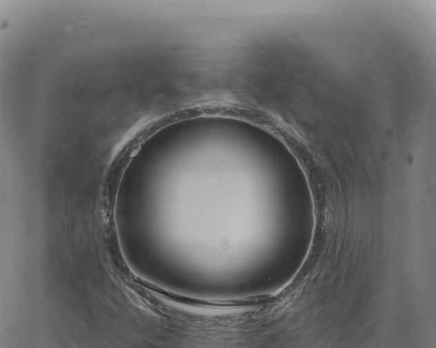 X0000063481400200601271643