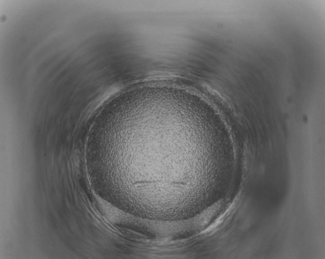 X0000063481401200601271643